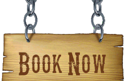 book tempo traveller